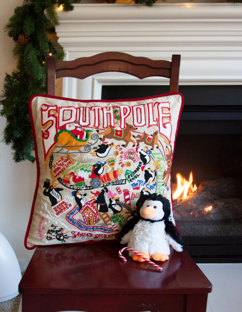 South Pole Hand-Embroidered Pillow