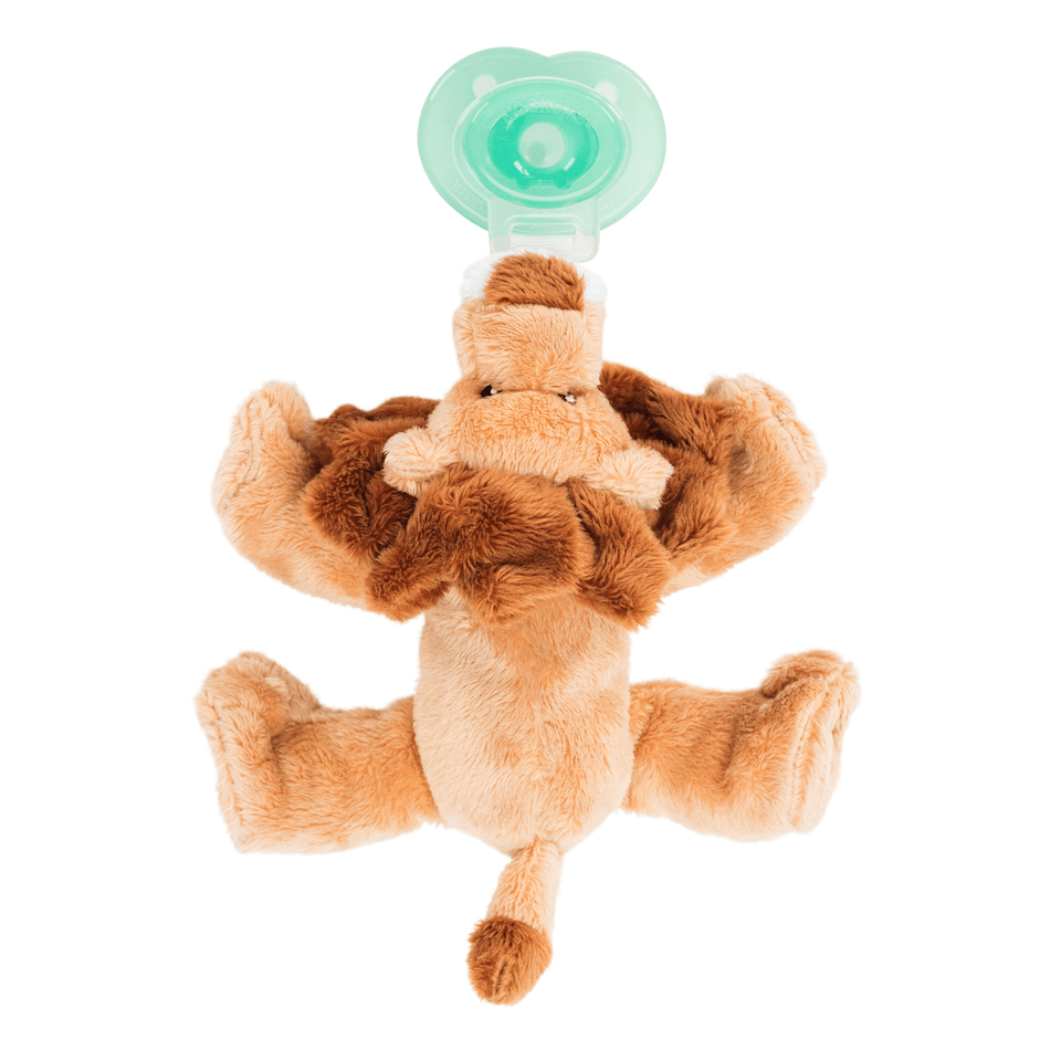 Paci - Plushies Buddies – Leo Lion - Veranda Cafe & Mercantile