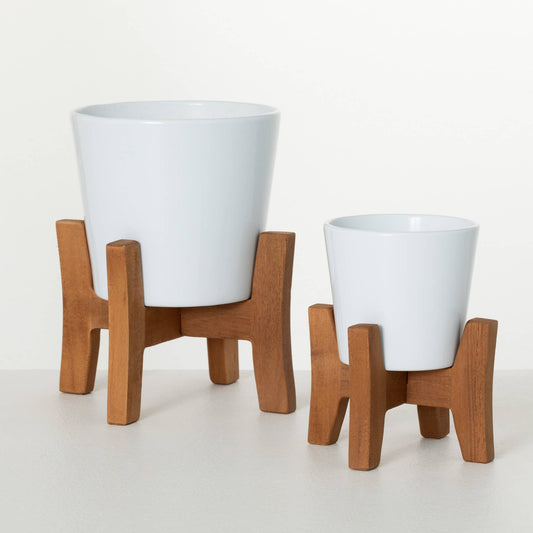 White Ceramic Planters On Wood