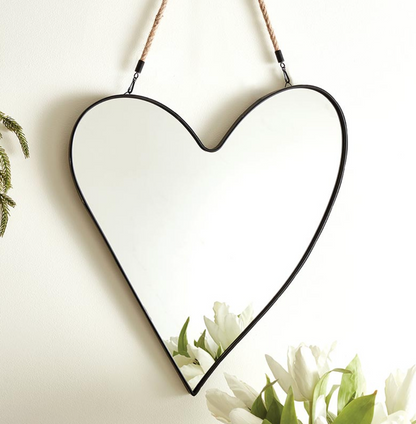 Heart Mirror
