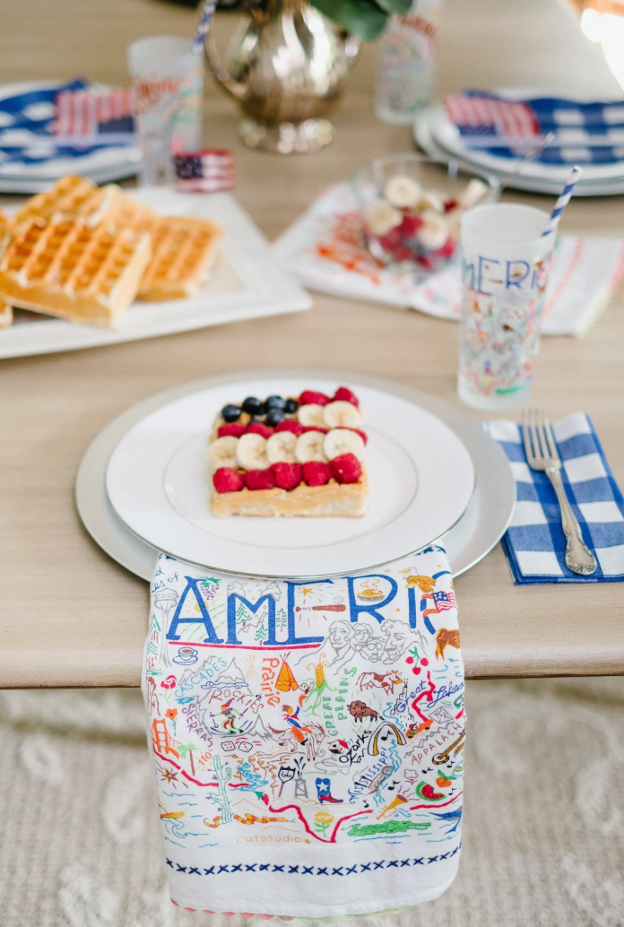 America Dish Towel