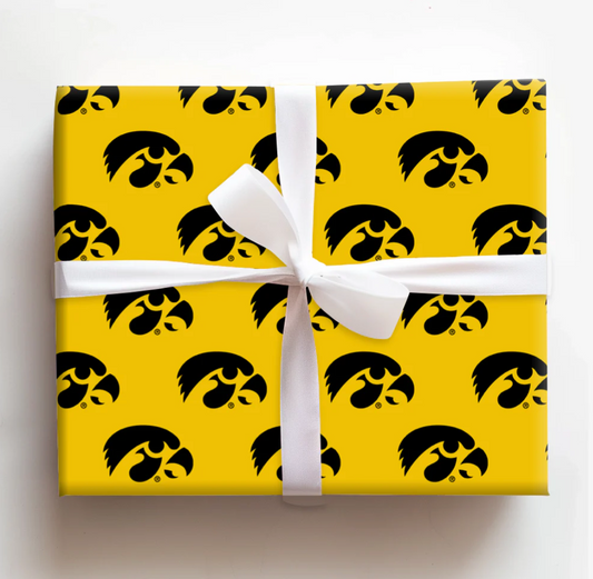 Eagle Eyes - University of Iowa