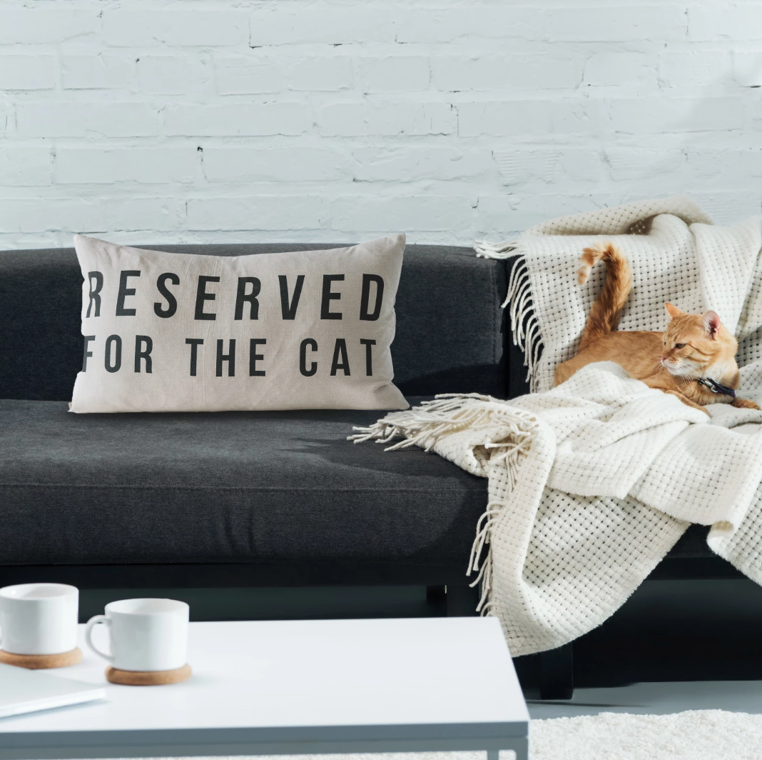 Reserved For The Cat Lumbar Pillow