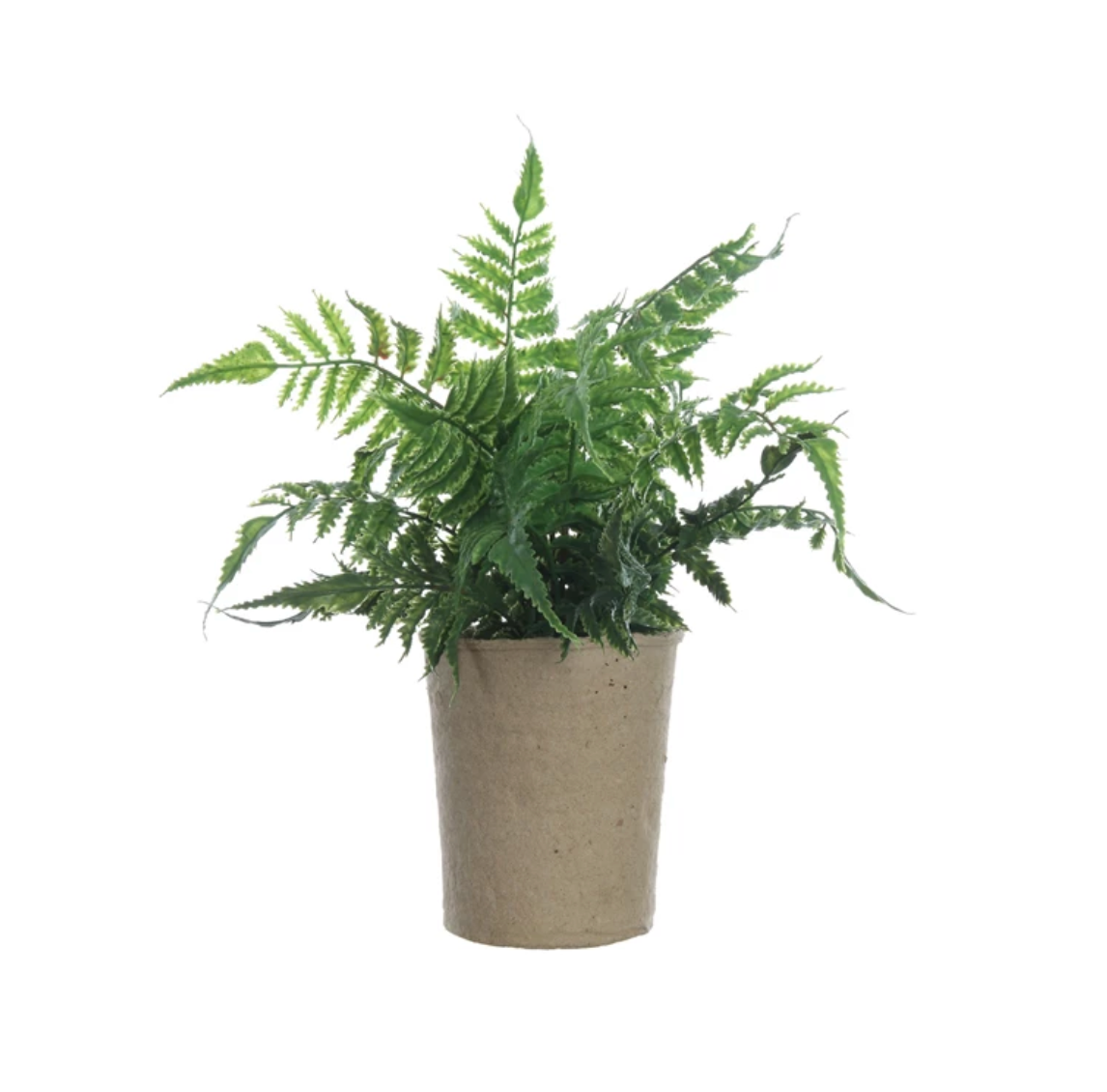 Faux Fern in Paper Pot