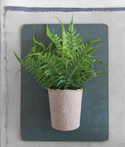 Faux Fern in Paper Pot