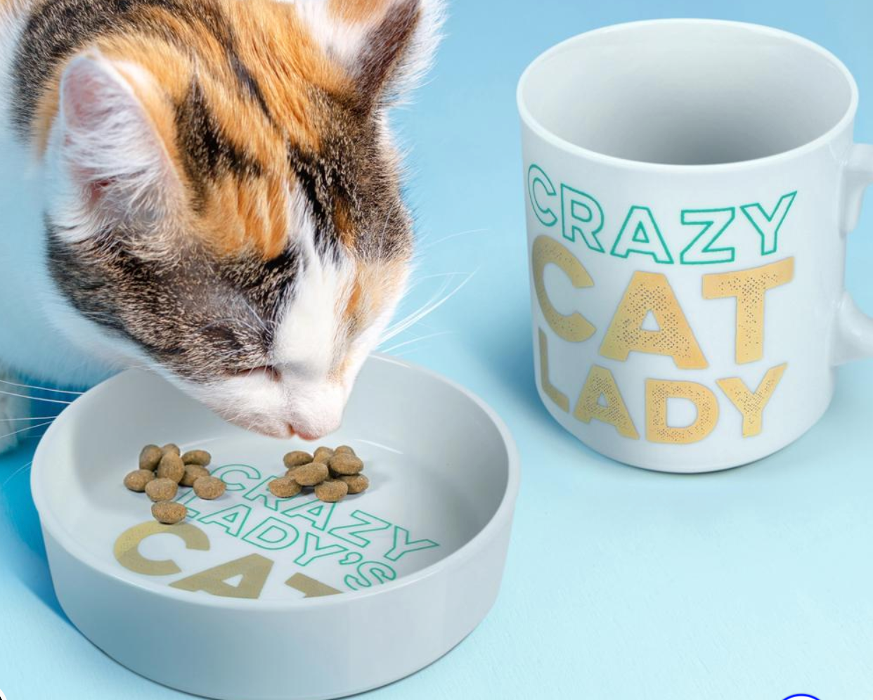 Ceramic Mug & Cat Bowl Set