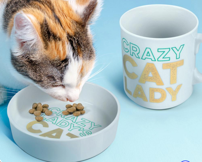 Ceramic Mug & Cat Bowl Set