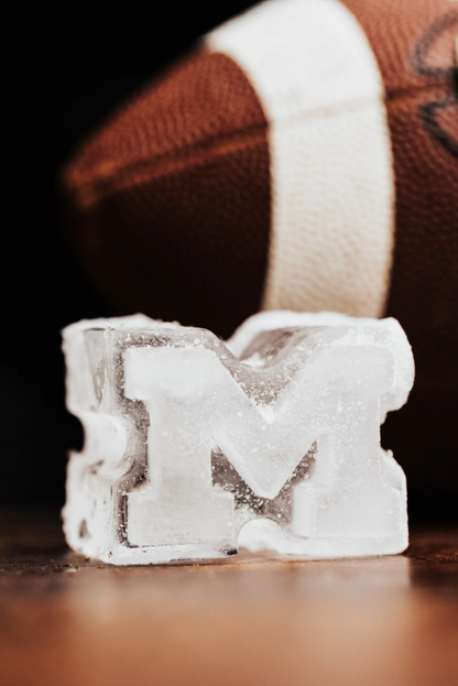Michigan, University of Ice Molds Large