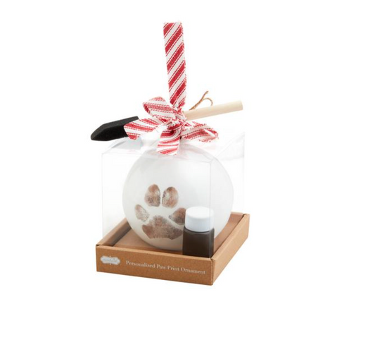 Paw Print Ornament Kit