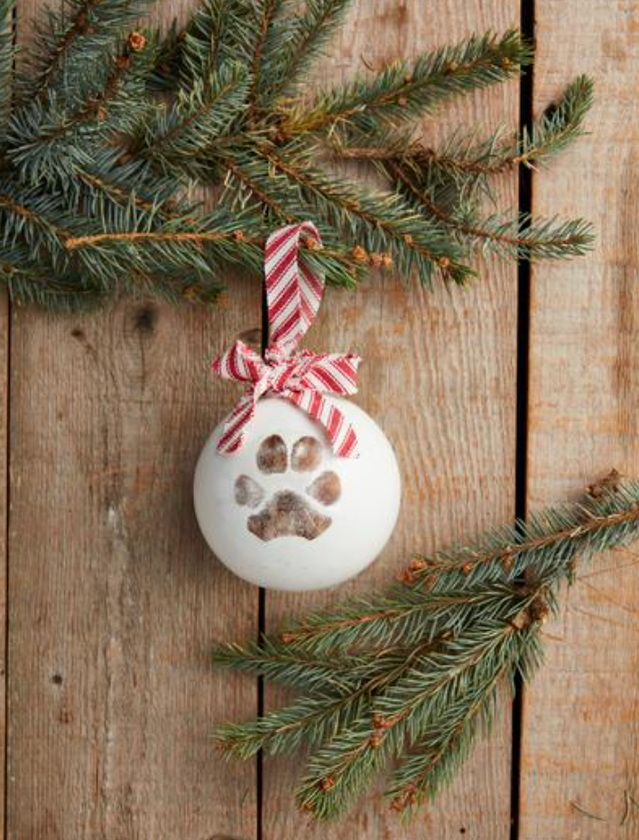 Paw Print Ornament Kit