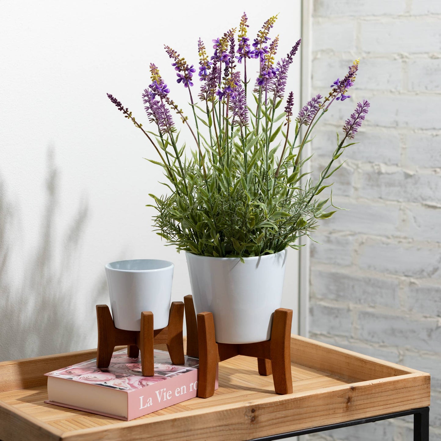 White Ceramic Planters On Wood