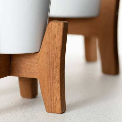 White Ceramic Planters On Wood